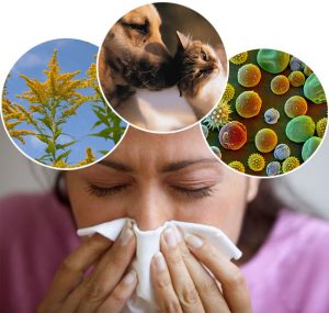 Fact of allergies
