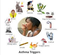 Asthma Doctor NYC 2